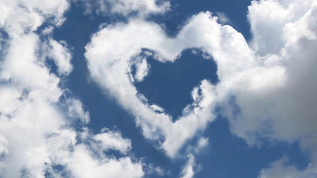 好玩游戏推荐没有实名认证女生_好玩游戏推荐没有实名认证